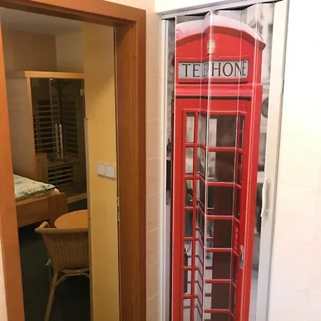 בית הארחה Aura Spicak, Nektere Se Saunou 4*