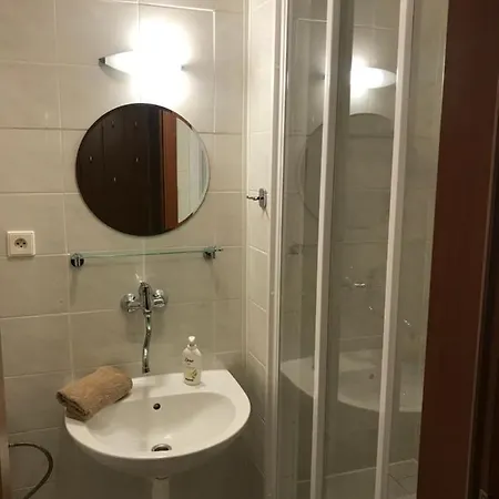 Aura Spicak, Nektere Se Saunou Guest house Zelezna Ruda
