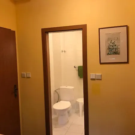 Aura Spicak, Nektere Se Saunou 4* Železná Ruda