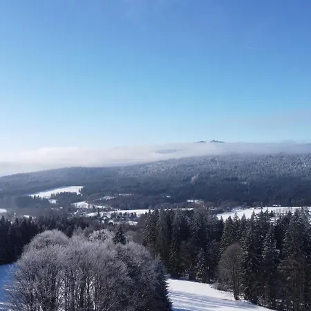 Aura špičák Penzion