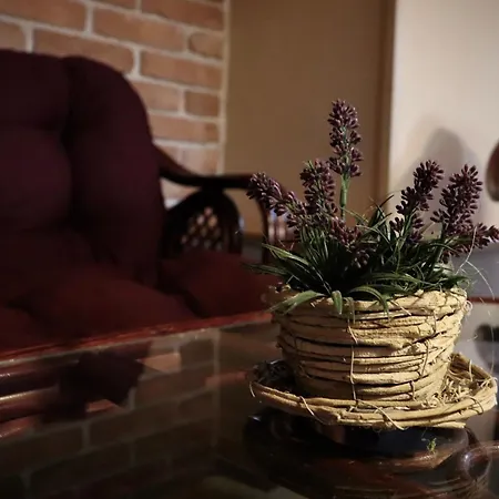 Aura Spicak, Nektere Se Saunou 4* Železná Ruda