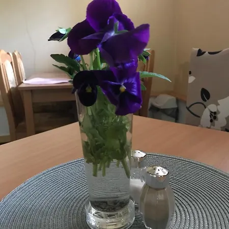 Aura Spicak, Nektere Se Saunou Guest house *
