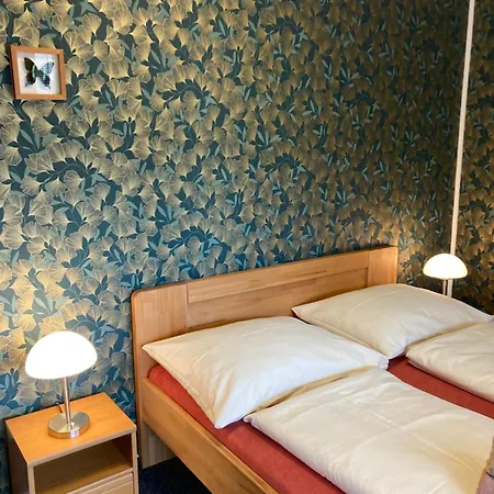 Penzion Aura špičák Železná Ruda