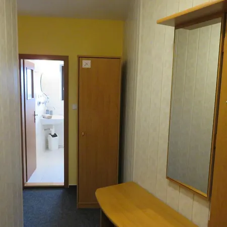 Aura Spicak, Nektere Se Saunou Guest house *