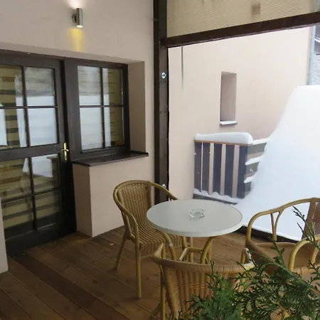 Aura Spicak, Nektere Se Saunou 4* Železná Ruda
