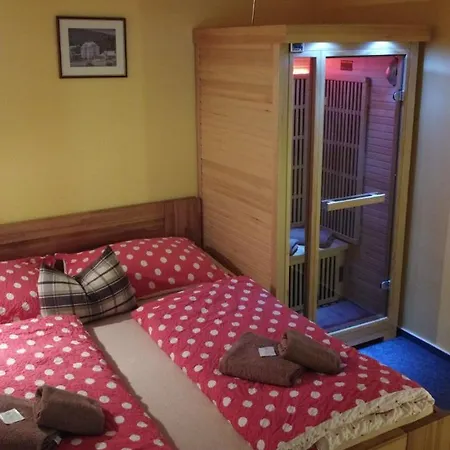 Aura špičák Penzion