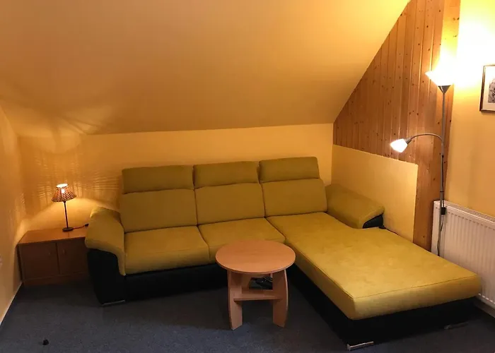 Aura Spicak, Nektere Se Saunou 4* Železná Ruda