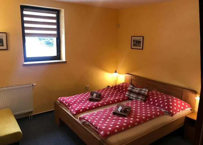 Aura Spicak, Nektere Se Saunou 4*