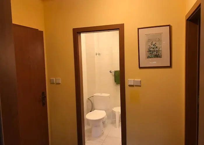 Aura Spicak, Nektere Se Saunou 4* Železná Ruda