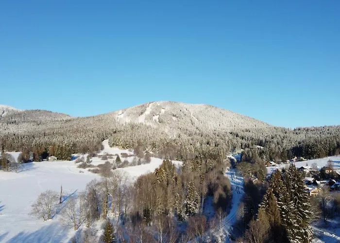 Konukevi Aura Spicak, Nektere Se Saunou 4*