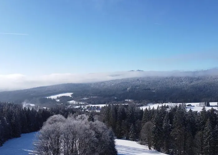 Aura Spicak, Nektere Se Saunou Konukevi