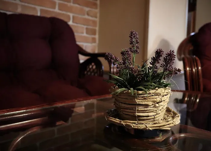 Aura Spicak, Nektere Se Saunou 4* Železná Ruda
