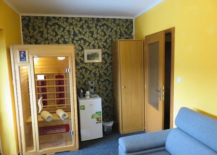 Aura Spicak, Nektere Se Saunou Železná Ruda