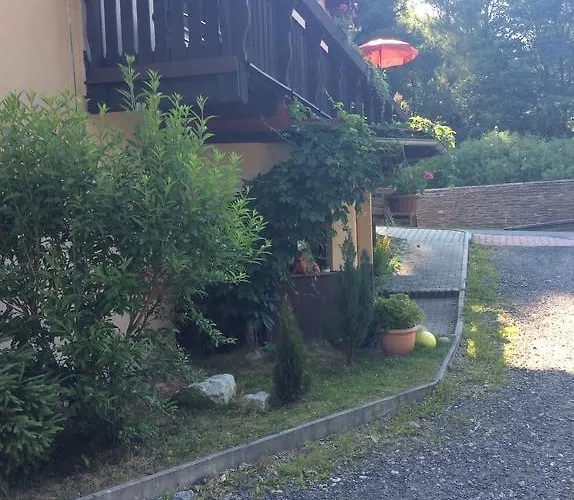 Aura Spicak, Nektere Se Saunou Železná Ruda