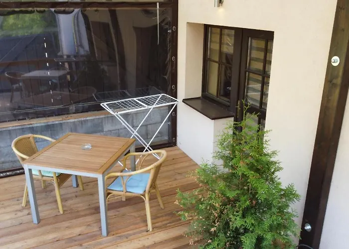 Aura Spicak, Nektere Se Saunou 4* Železná Ruda